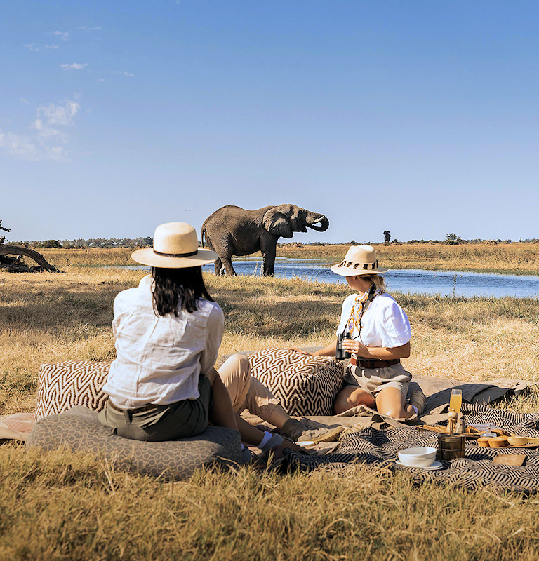 Guests viewing a rare rhino from a safari vehicle in the South African Wilderness.