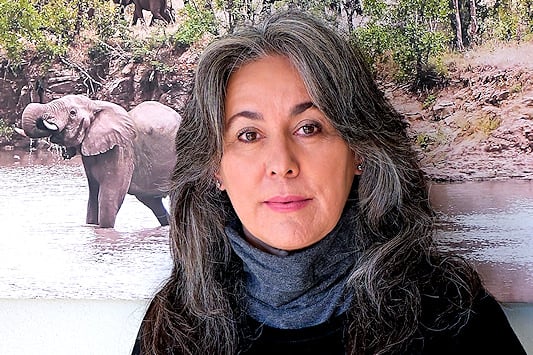 Manuella Daniel with an elephant in a river in the background.