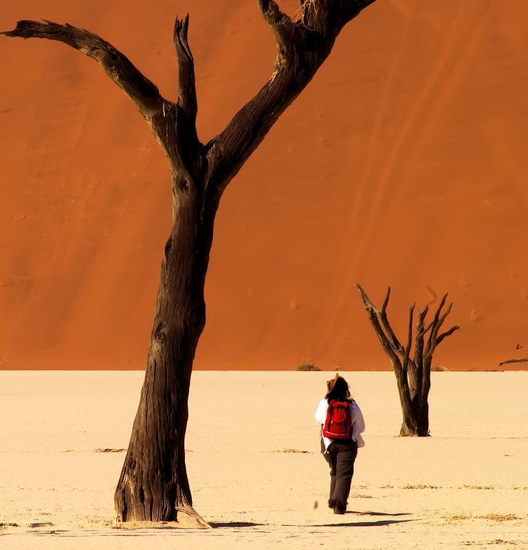 A traveler walking past dried camelthorn trees on the white clay pan at Deadvlei.