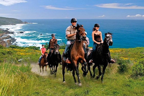 A family riding horses on a coastal trail overlooking the ocean.