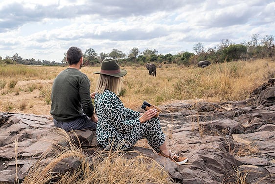 A couple sitting on a rocky outcrop watching wild elephants in the bushveld.