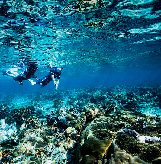 Two people snorkeling over a coral reef in Mozambique.