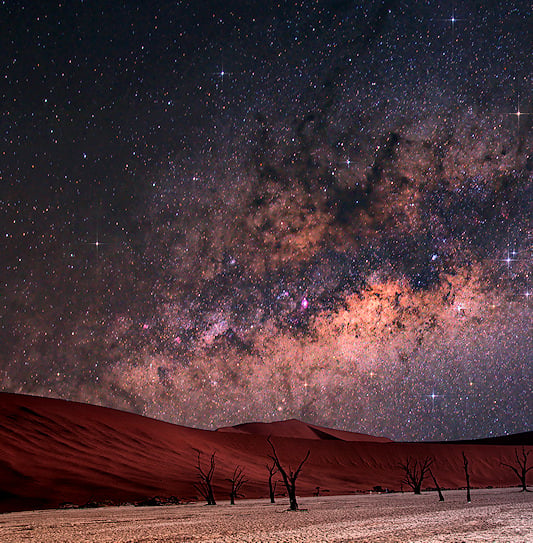 The Milky Way galaxy over silhouetted dead trees in Deadvlei, Namibia.