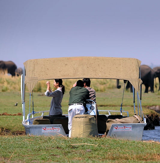 A safari boat with tourists near a herd of elephants on a riverbank, Botswana.