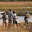 A guide gesturing to three guests during a walking safari along a grassy riverbank.