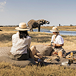 Two guests having a luxury picnic on the grass while watching an elephant at a waterhole.