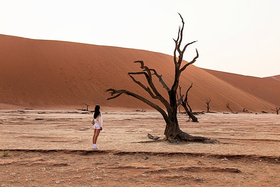 A woman standing next to a bare, dead tree in front of a massive red sand dune in Sossusvlei.