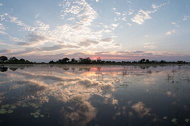 Dusk settles over the Okavango Delta.