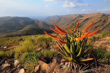 Enchanting scenery in a South African national park.