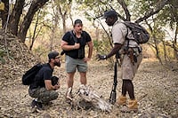 A safari guide talking to two guests next to an animal skull on the ground during a walking safari.