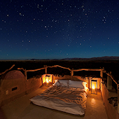 African wilderness at night.