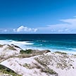 Vegetation-covered dunes overlooking breaking sea waves.