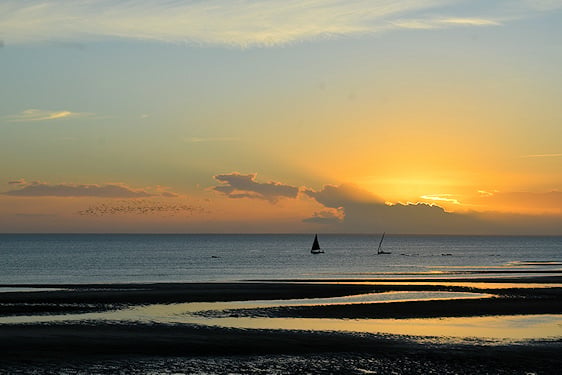 Silhouetted dhow boats sailing past shallow sandbars in late afternoon light on the Mozambique coast.