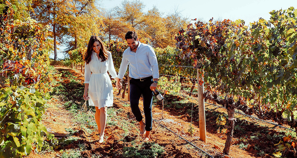 Strolling through the Cape Winelands