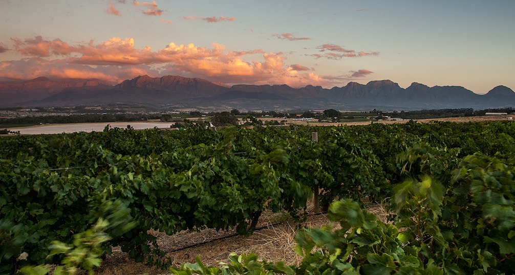 Sunset with Mountains and Vineyards