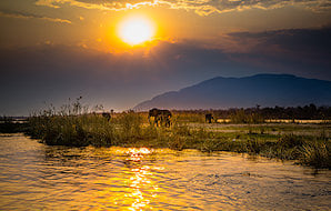A stunning view of elephants in the Lower Zambezi National Park.