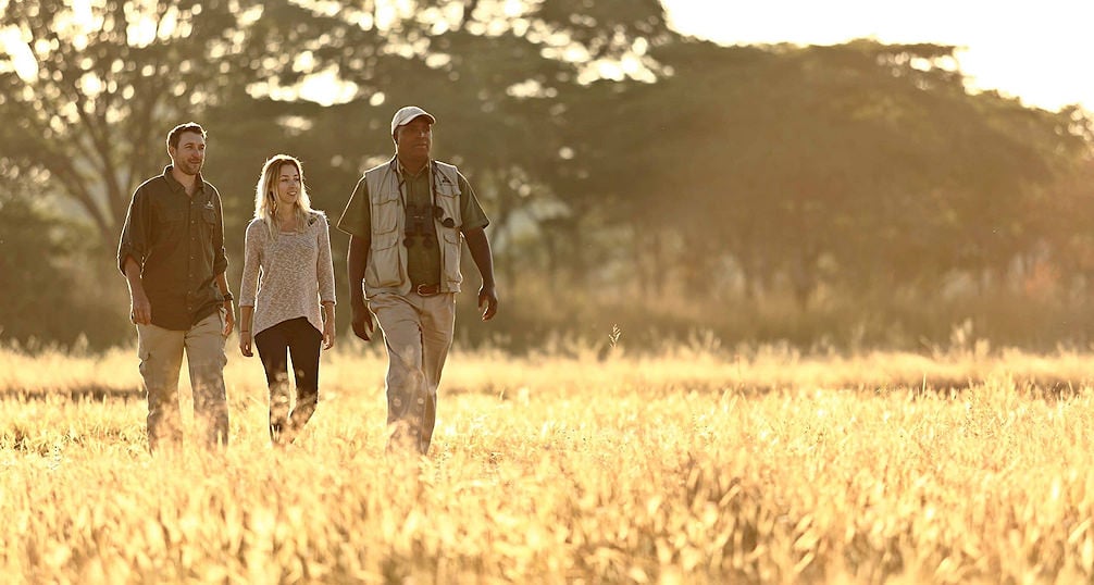 Guided mindfulness walk in a private South African game reserve as part of a luxury safari tour.