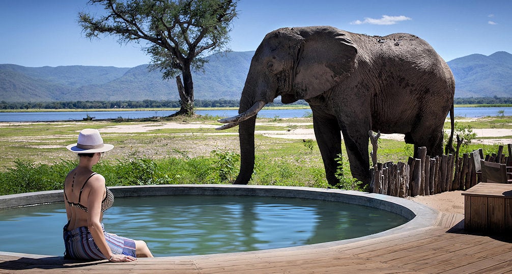 Private plunge pool with views of elephants in Zimbabwe on a wellness-focused African safari