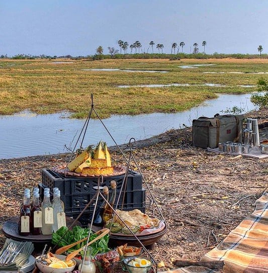 A picnic setup under a large tree overlooking an open wetland at Sandibe in Botswana.