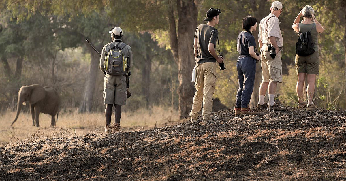8 Immersive Experiences in Southern Africa | African Travel Blog