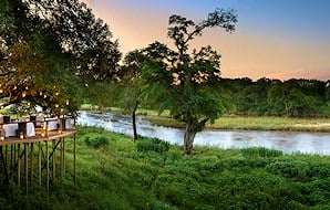 Guests on a game drive observe an elephant cow and her calf.