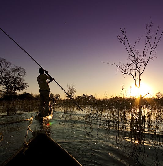 Tourists on safari enjoying a sunset mokoro ride in the Okavango floodplains of Botswana.