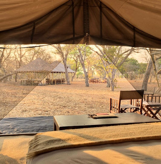View from a bed through open flaps to the dining marquee among bare trees.