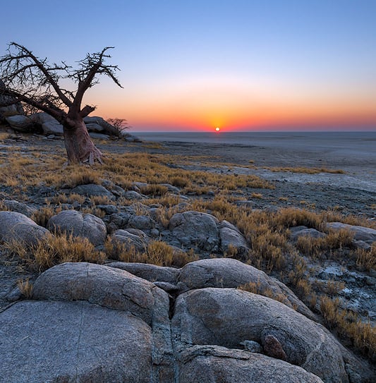 A baobab tree on a rocky ridge overlooking the vast, flat expanse of the Makgadikgadi Pans at sunset.