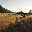 A dirt track leading through open grassland toward distant hills.