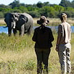 Two guests on a walking safari observing an elephant from a distance.