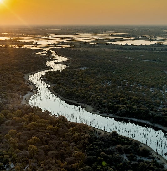 An aerial view of a winding river channel cutting through the wetlands of the Okavango Delta at sunset, Botswana.