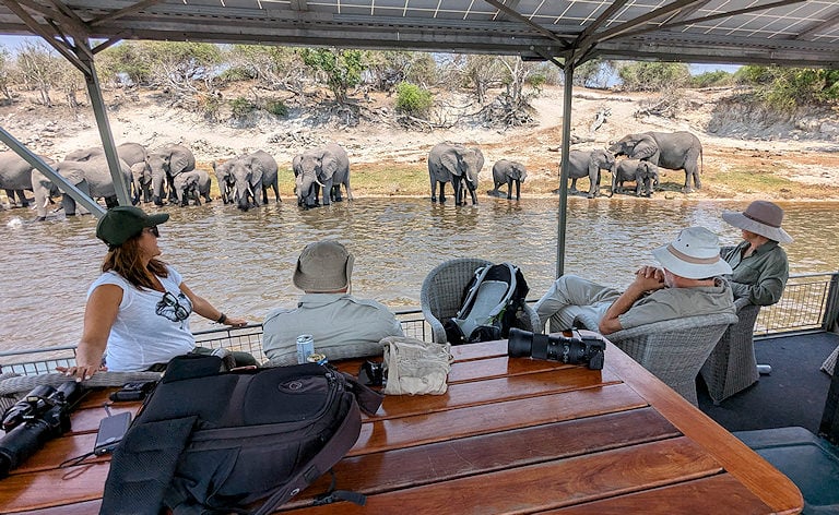 Travelers on a boat watching a herd of elephants drink at the river edge, Chobe National Park, Botswana.