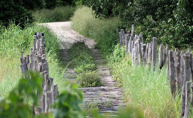 Wooden pole bridge along a bush track, Botswana.
