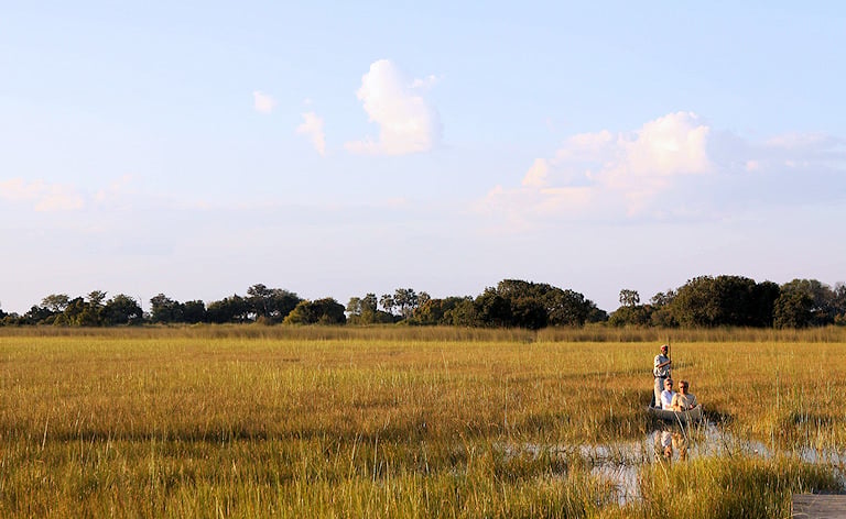 Guided mokoro canoe trip through grassy wetland channels, Okavango Delta, Botswana.