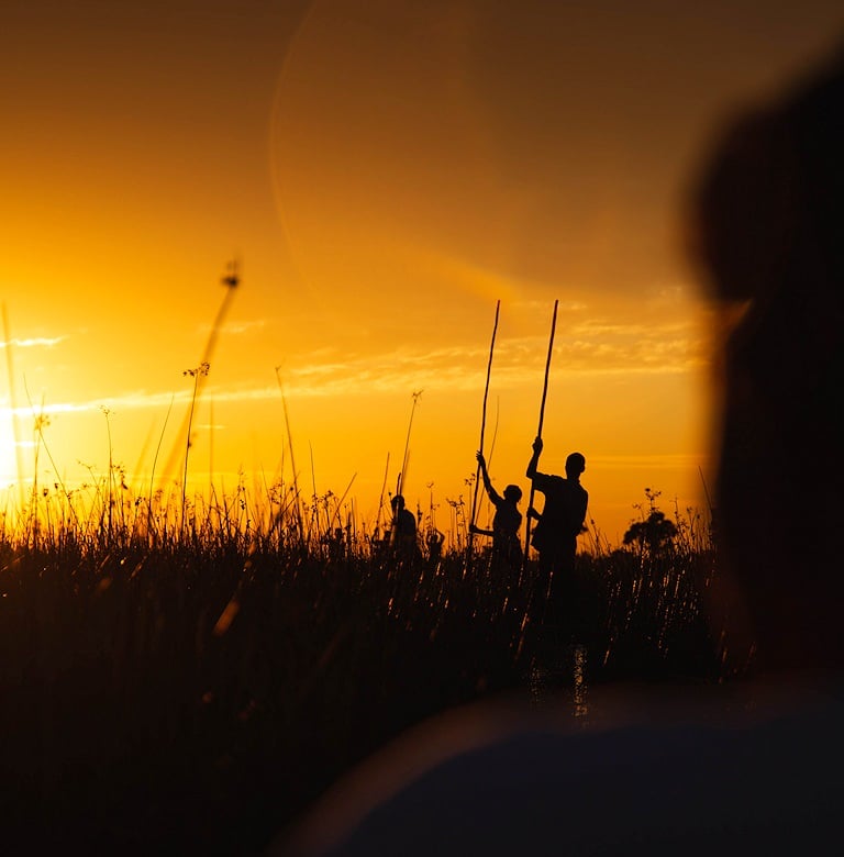 Silhouetted mokoro polers with steering poles standing among tall marsh grass against an evening sky in Botswana.