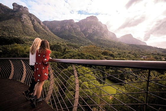 Manicured lawns at Kirstenbosch Botanical Gardens.