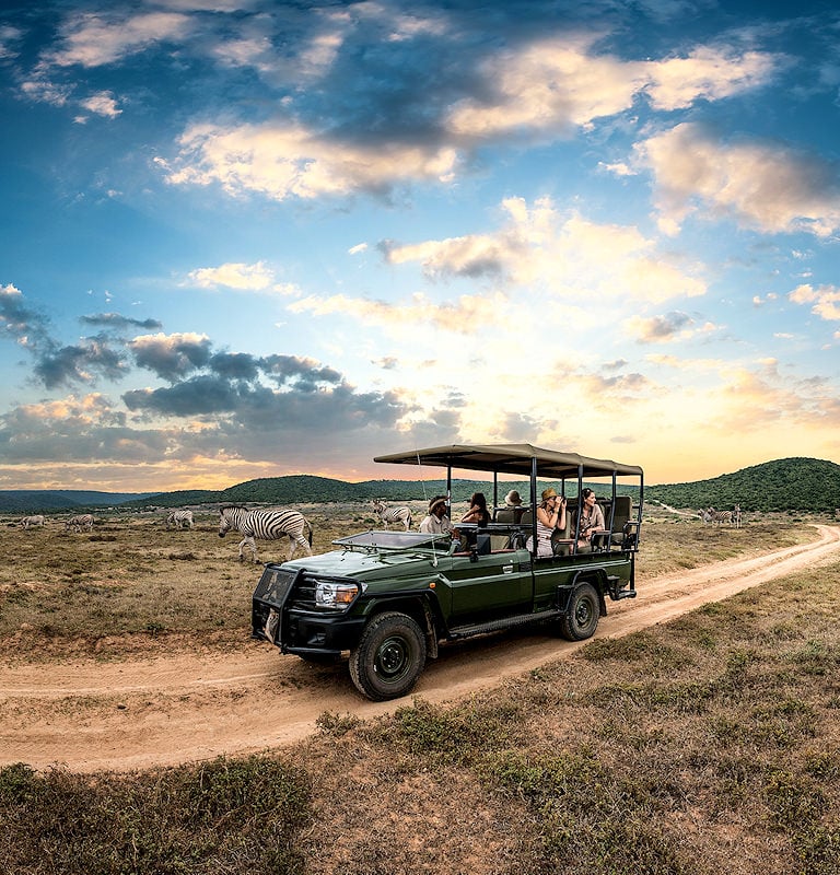 Travelers enjoying a game drive with beautiful scenery.