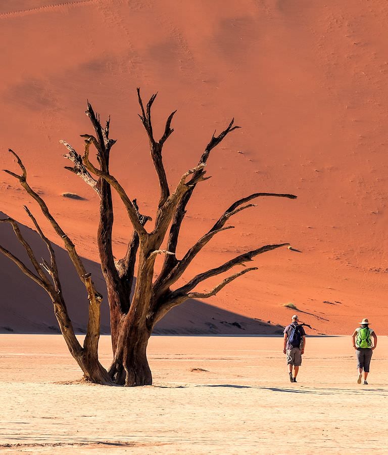 Scenic desert landscape in Namibia.