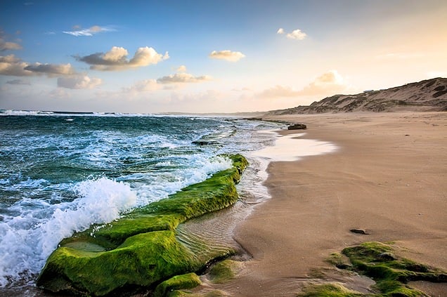 Pristine beach in KwaZulu-Natal.