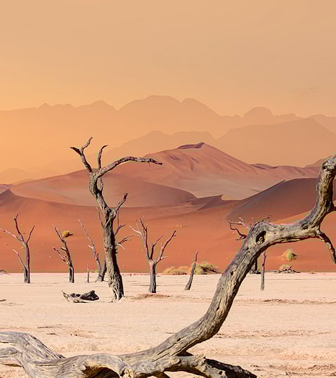 Stunning desert scenery at Sossusvlei in Namibia.