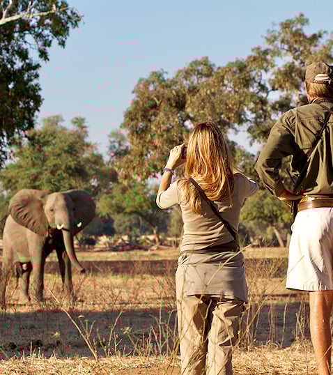 Encountering an elephant at Mana Pools in Zimbabwe.