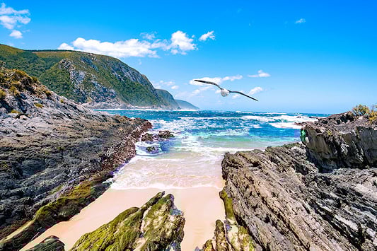 View of a beach on South Africa's Garden Route.