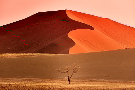 Exceptional image of a towering dune at Sussusvlei.