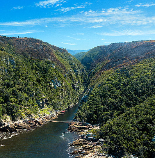 The suspension bridge spanning the Storms River gorge in Tsitsikamma National Park on South Africa's Garden Route.