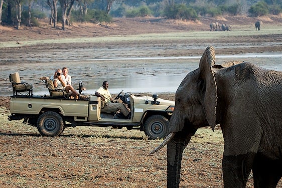 africa experience tour operator