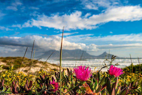 View of Table Mountain in Cape Town