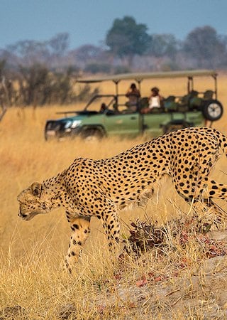 african guided tours