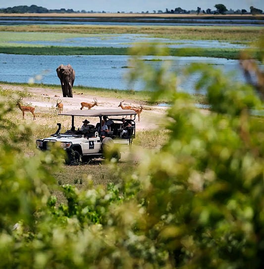 Visitors observing an elephant from a safari vehicle in Chobe National Park.
