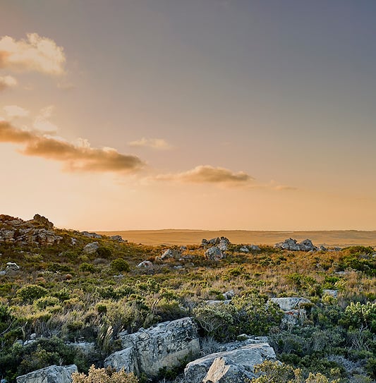 A scenic panorama of the wilderness at Cape Point, Table Mountain National Park