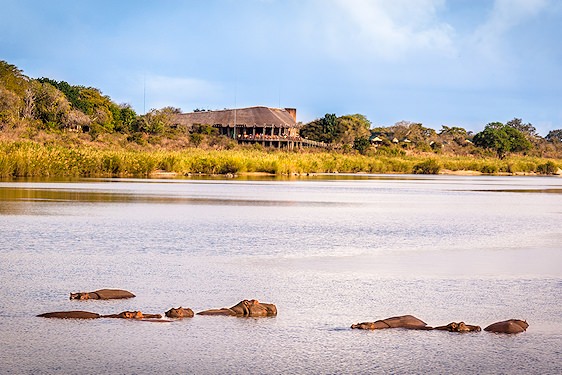 Hippos bask in the Sabie River in front of Lower Sabie Rest Camp.